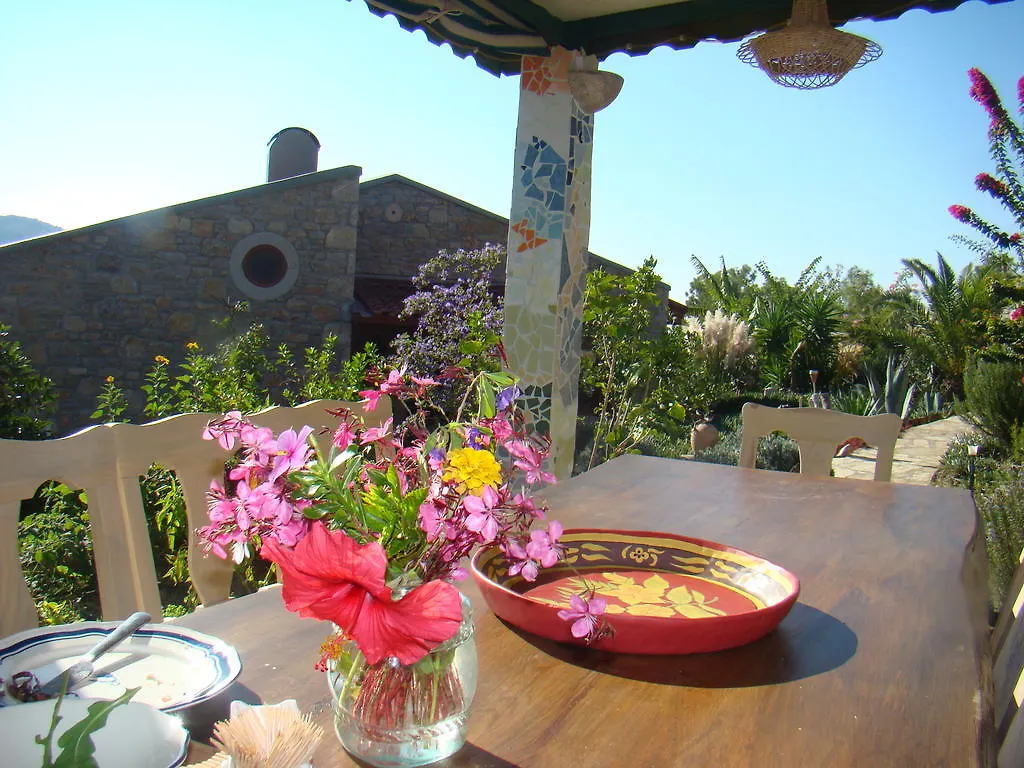 アパート Villa Narlidere Mesudiye  トルコ