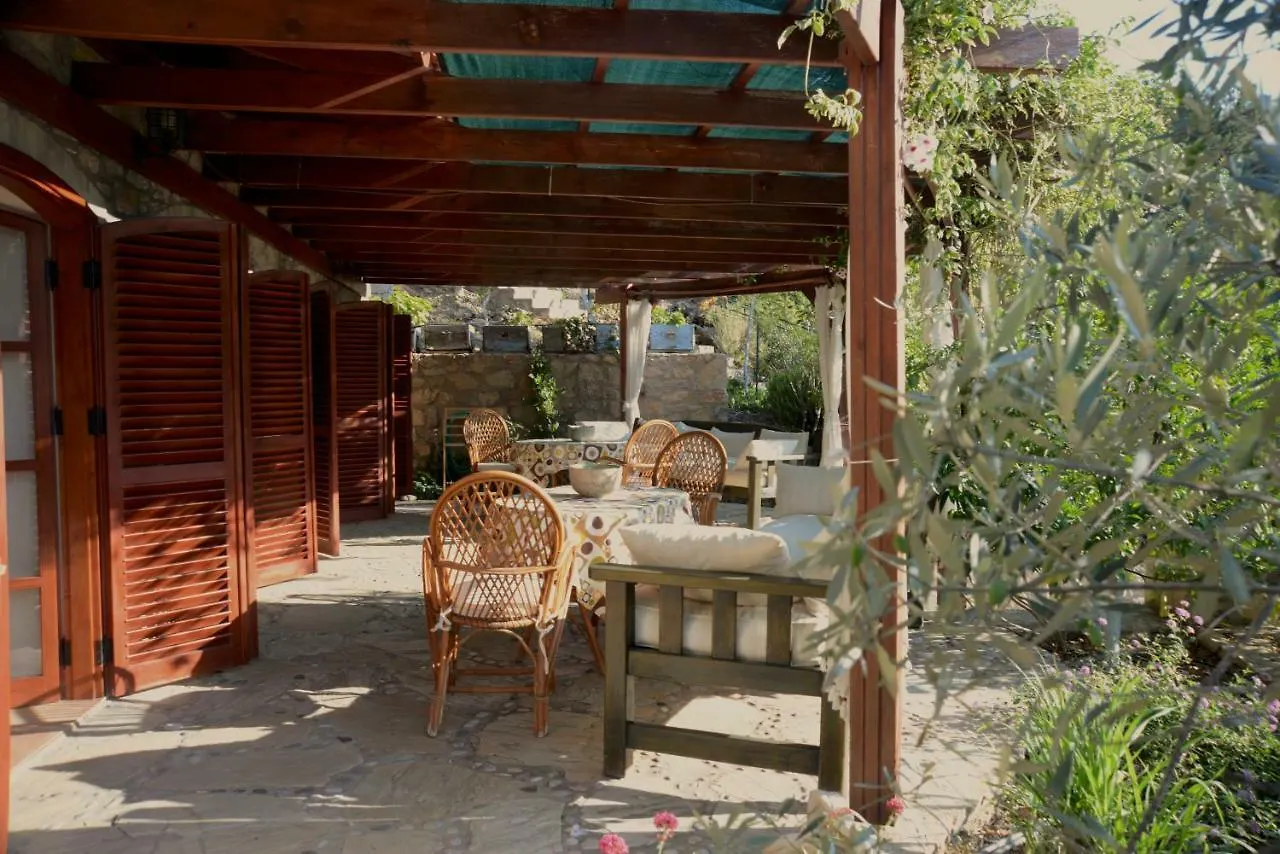 Villa Narlidere Mesudiye  アパート